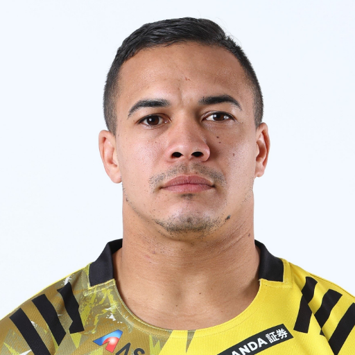 Cheslin Kolbe